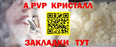 стафф Можга