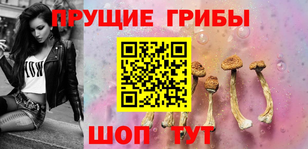 Зерноград  Галлюциногенные грибы Psilocybe  Галлюциногенные грибы мицелий  Вход с VPN 