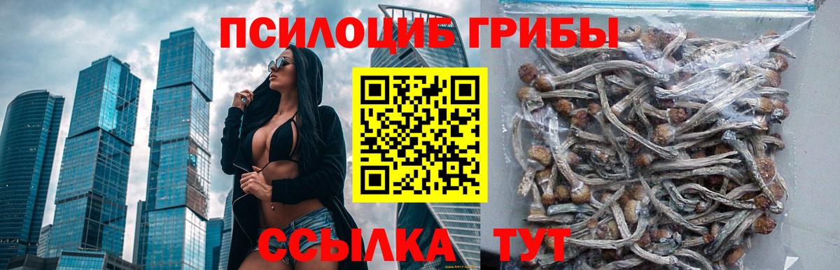 Галлюциногенные грибы мицелий Зерноград